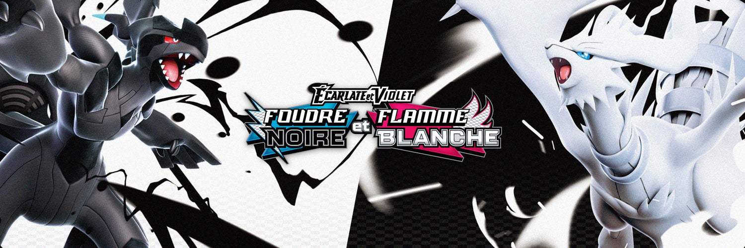 Foudre Noire et Flamme Blanche