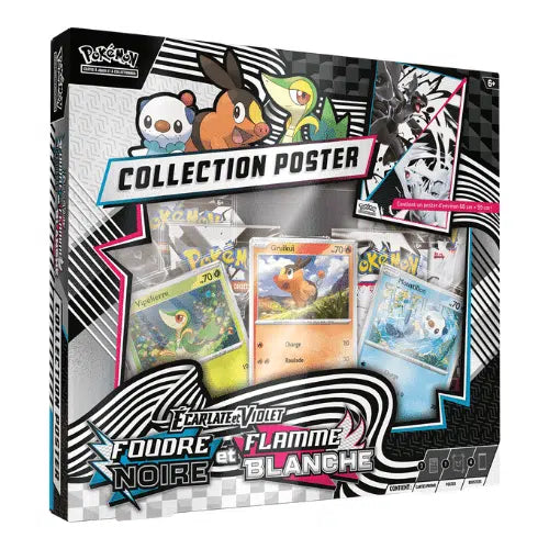 Coffret Poster EV10.5